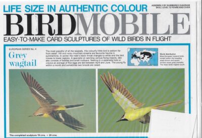 Grijze kwikstaart (Grey wagtail)  Birdsmobile 1:1