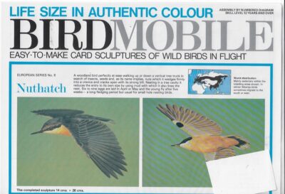 Boomklever (Nuthatch)  Birdsmobile 1:1