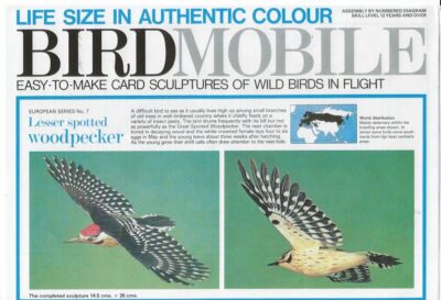 Specht (Woodpecker)  Birdsmobile 1:1