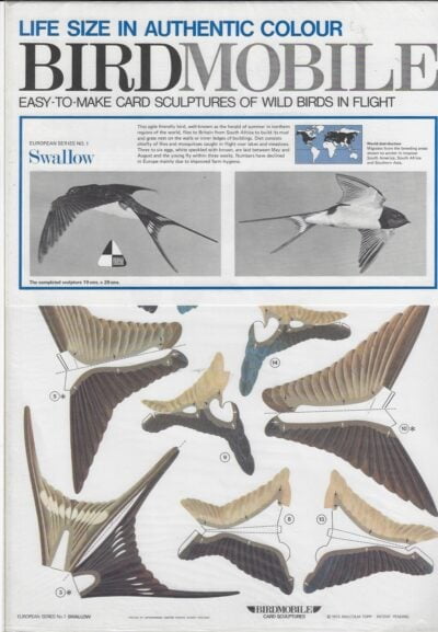 vogel Zwaluw Birdsmobile 1:1